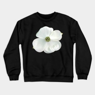 White Dogwood Flower Close-up Photo Crewneck Sweatshirt